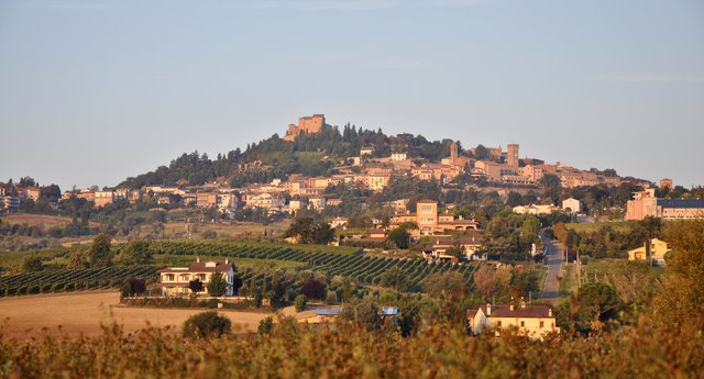 Romagna Wine Immersion